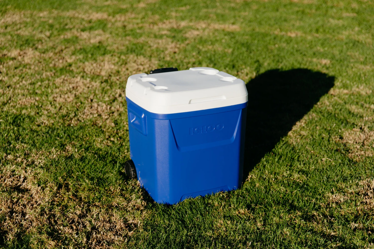 IGLOO Laguna 57L Wheeled Cool Box - Image 12