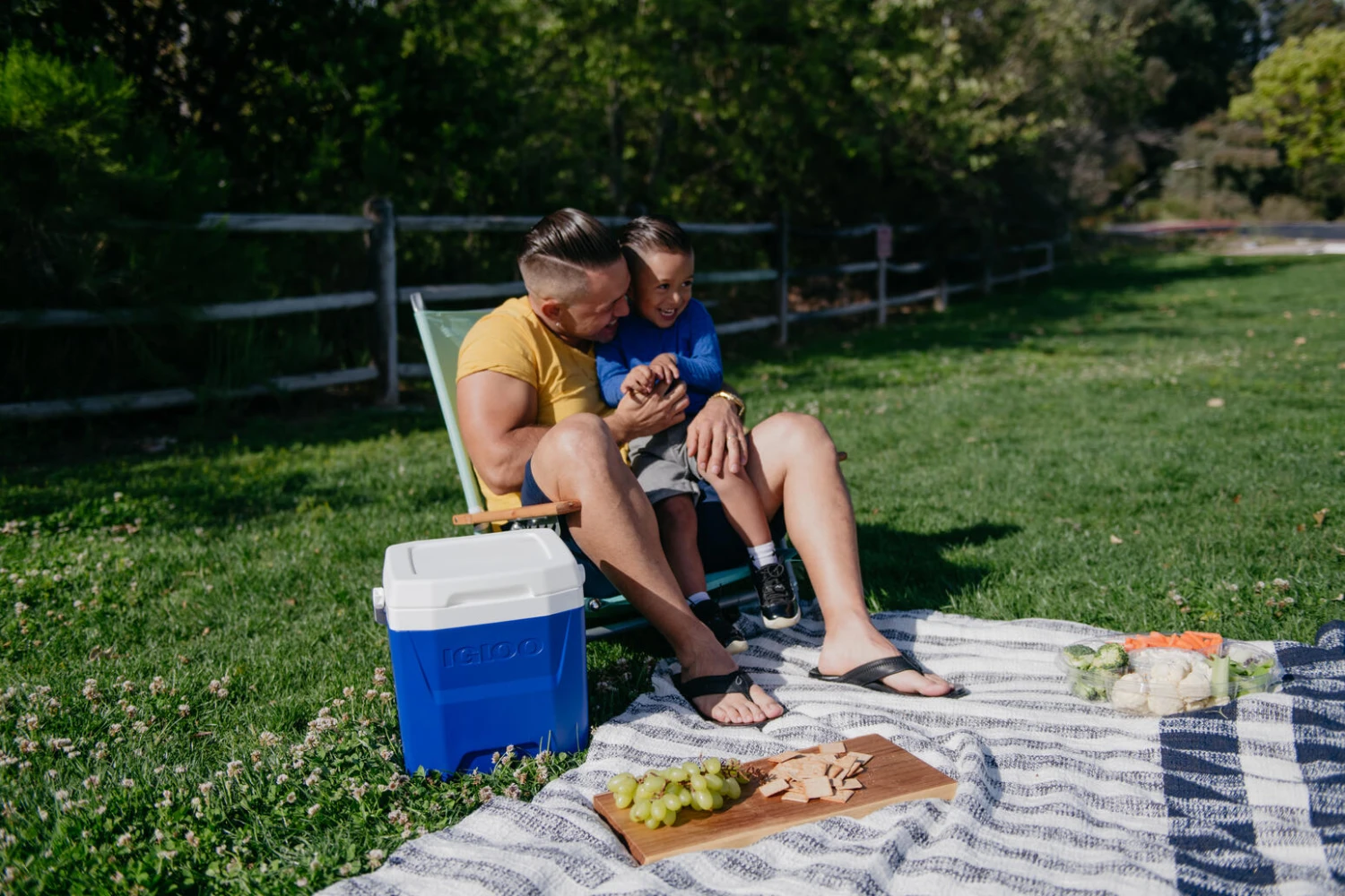 IGLOO Laguna 12 Cool Box Red - Image 10